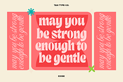 TAN - KIOSK, a Serif Font by TanType (Thumbnail 11 of 16)