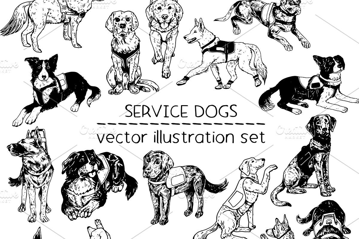 Service dogs - vector illustrations, an Animal Illustration by Renée from Studio neetje (Photo 1 of 4)