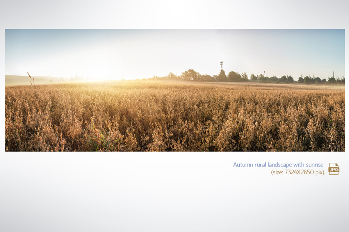 Autumn rural landscape, a Food Illustration by Countryside life (Photo 7 of 9)