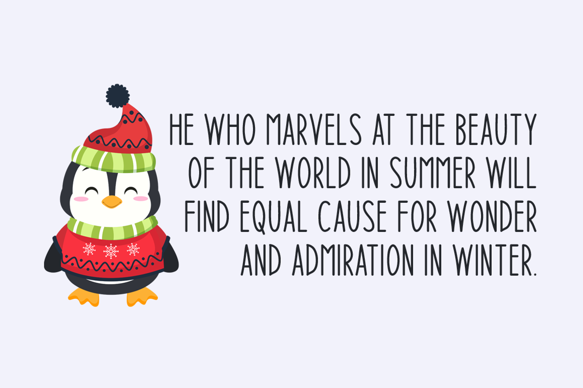 Winter Insight Typeface, a Script Font by Seemly Fonts (Photo 3 of 3)