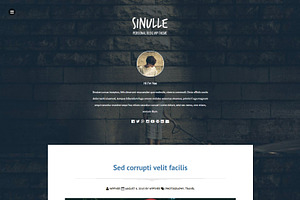 Sinulle Fullscreen Wordpress Theme