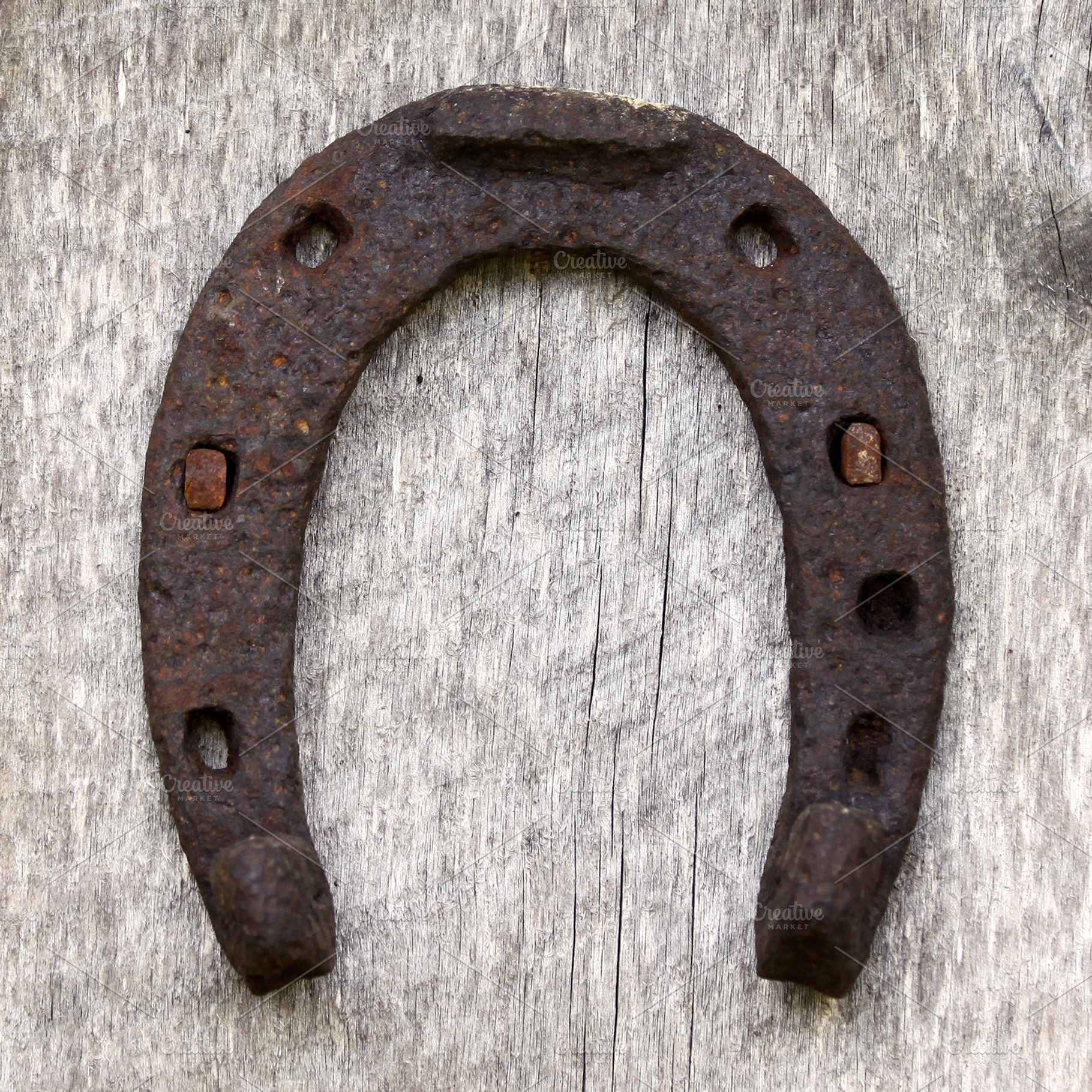 Rusty horseshoe, an Animal Photo by BOOCYS
