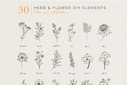 Flowers Bundle - 3 collections, an Illustration by Manimanisa (Thumbnail 14 of 16)