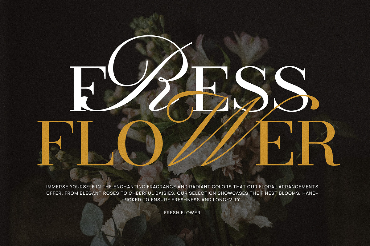 Back Home Serif and Calligraphy Font, a Serif Font by Graphicxell (Photo 7 of 8)