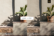 5 Tan Lightroom Presets Bundle, a Preset Add-On by SHOOM HOUSE (Thumbnail 3 of 8)