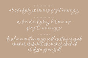 Angella White, a Script Font by din-studio.com (Thumbnail 10 of 10)