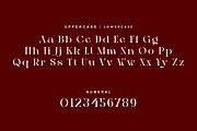 Etyelfy - Luxury Elegant Font, a Serif Font by QR Design Studio (Thumbnail 7 of 14)