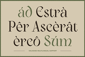 Vailnoise - Classic Vintage Serif