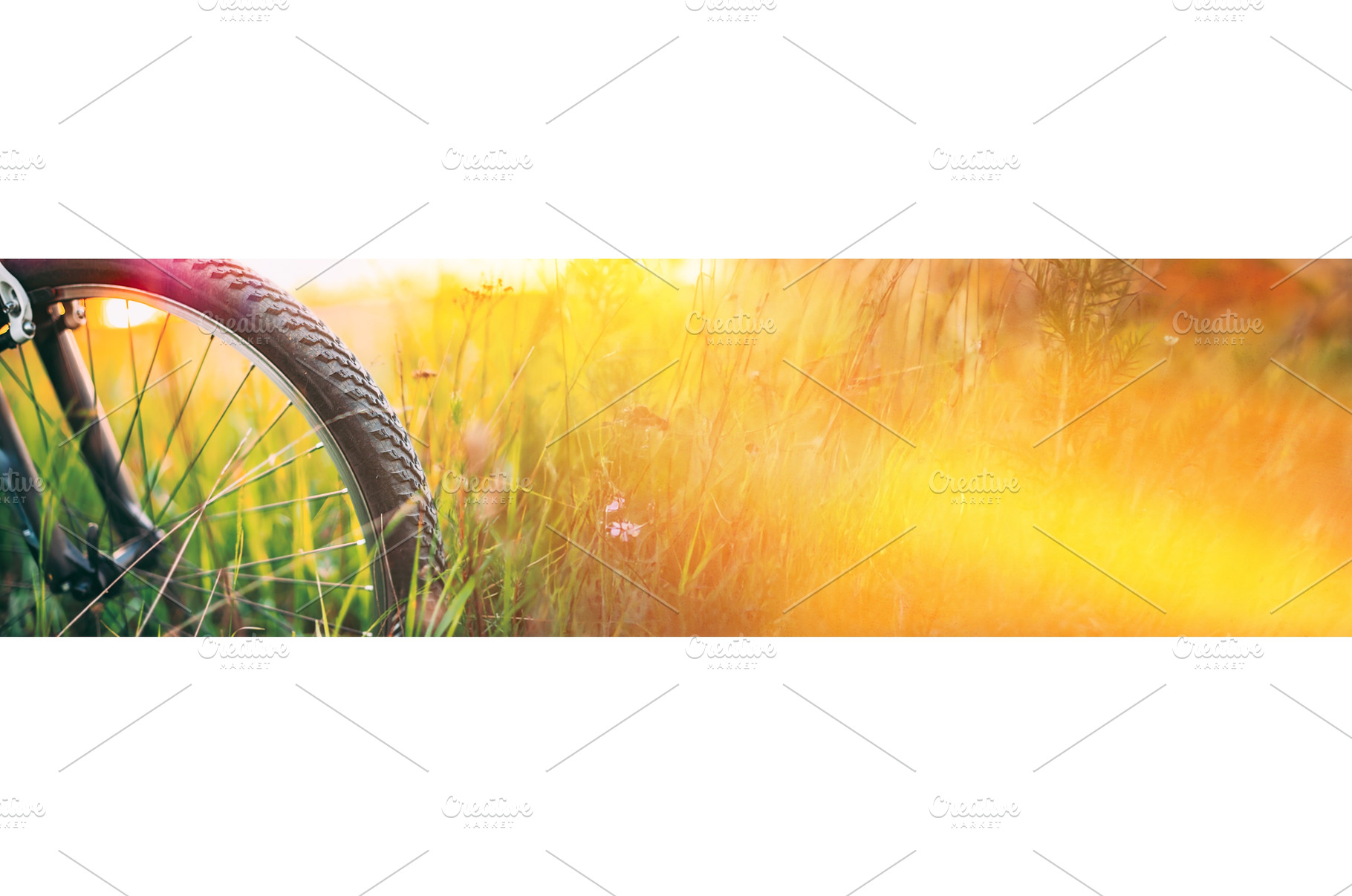 Bicycle Wheel In The Summer Green, a Transportation Photo by Our Amazing World