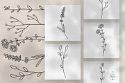 WILDFLOWER LINE ART, an Object Illustration by Kate Art (Thumbnail 18 of 22)