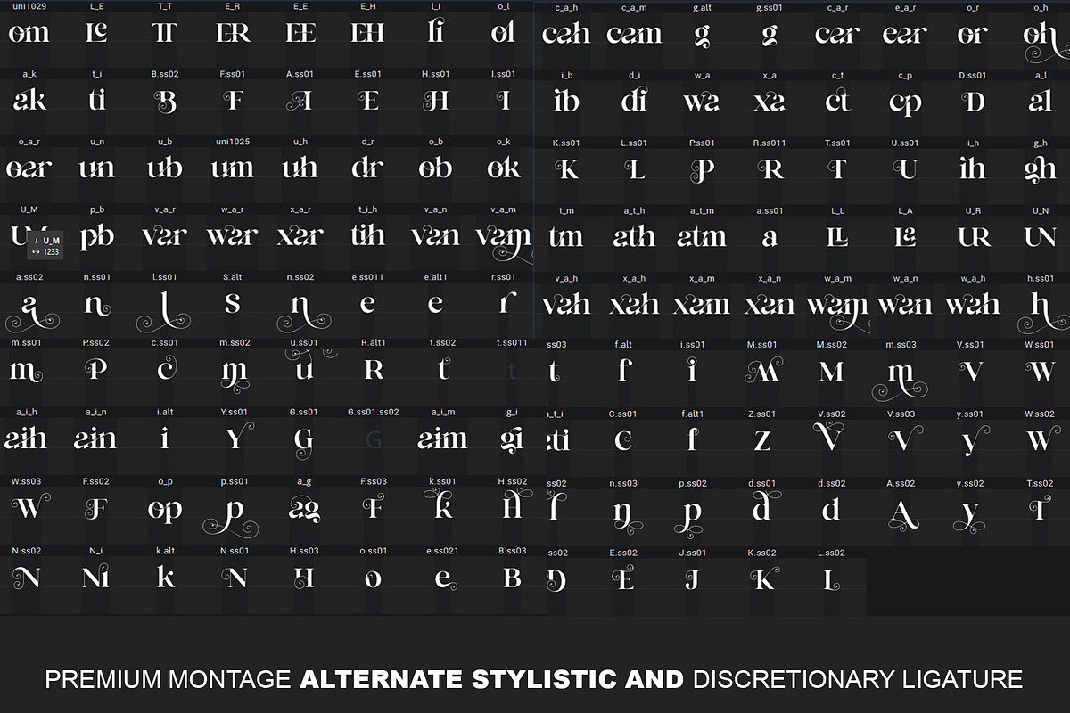 Premium Montage, a Serif Font by NYDESIGN (Photo 8 of 9)