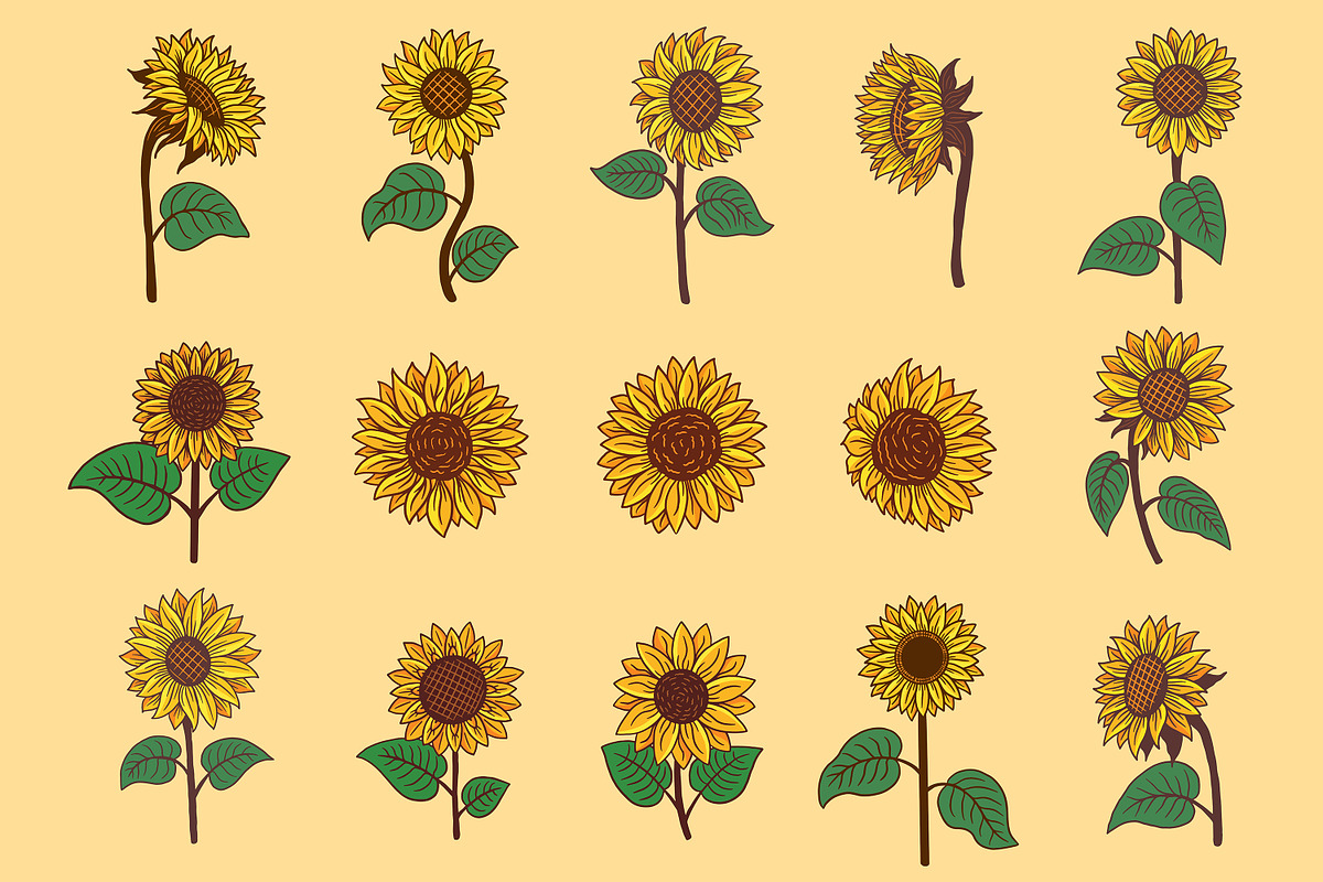 15 Set Sunflower Sunshine Clipart, an Illustration by Morspective (Photo 7 of 7)