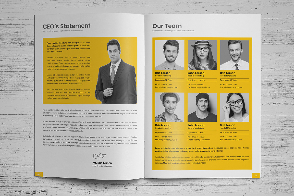 Project Business Proposal v5, a Brochure Template by Miyaji75 (Photo 3 of 18)