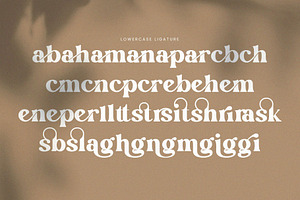 English Island Ligature Serif Font