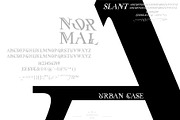 UrbanCase, a Serif Font by inumocca_type (Thumbnail 3 of 8)