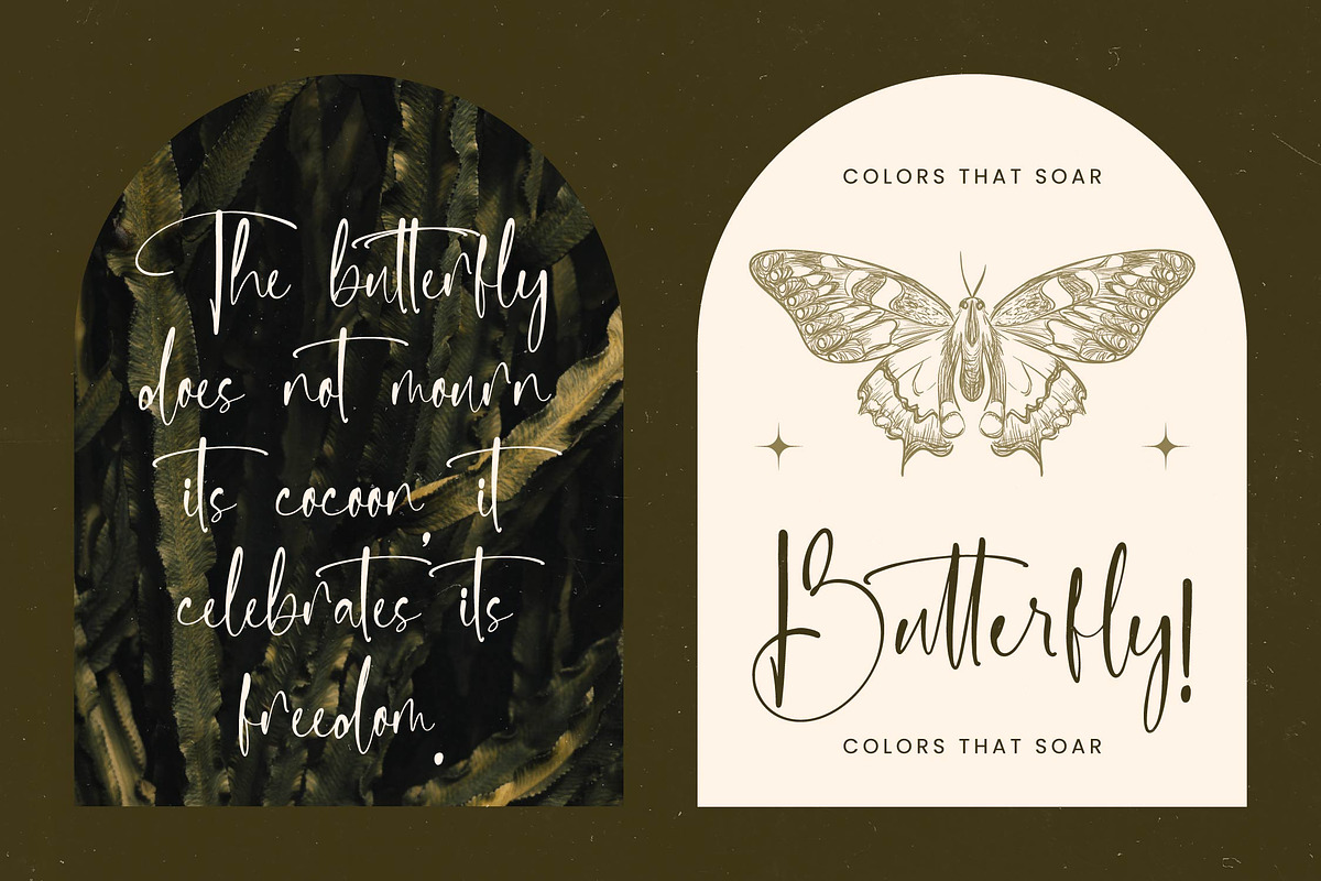 Delicately Stylish Handwritten Font, a Serif Font by stylishtype.co (Photo 8 of 20)