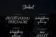 Steadfast Script, a Script Font by Mats-Peter Forss (Thumbnail 10 of 10)