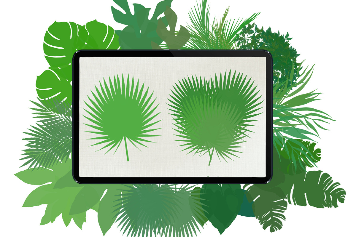 Palm leaves brushes for Procreate, a Brush Add-On by AnastasiyaOleynik (Photo 8 of 12)