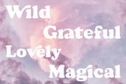 Andromeda // A Vintage Soft Serif, a Serif Font by Megs Lang (Thumbnail 17 of 18)