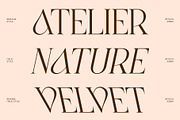 CS Asena – Elegant Serif Font, a Serif Font by Craft Supply Co. (Thumbnail 4 of 8)