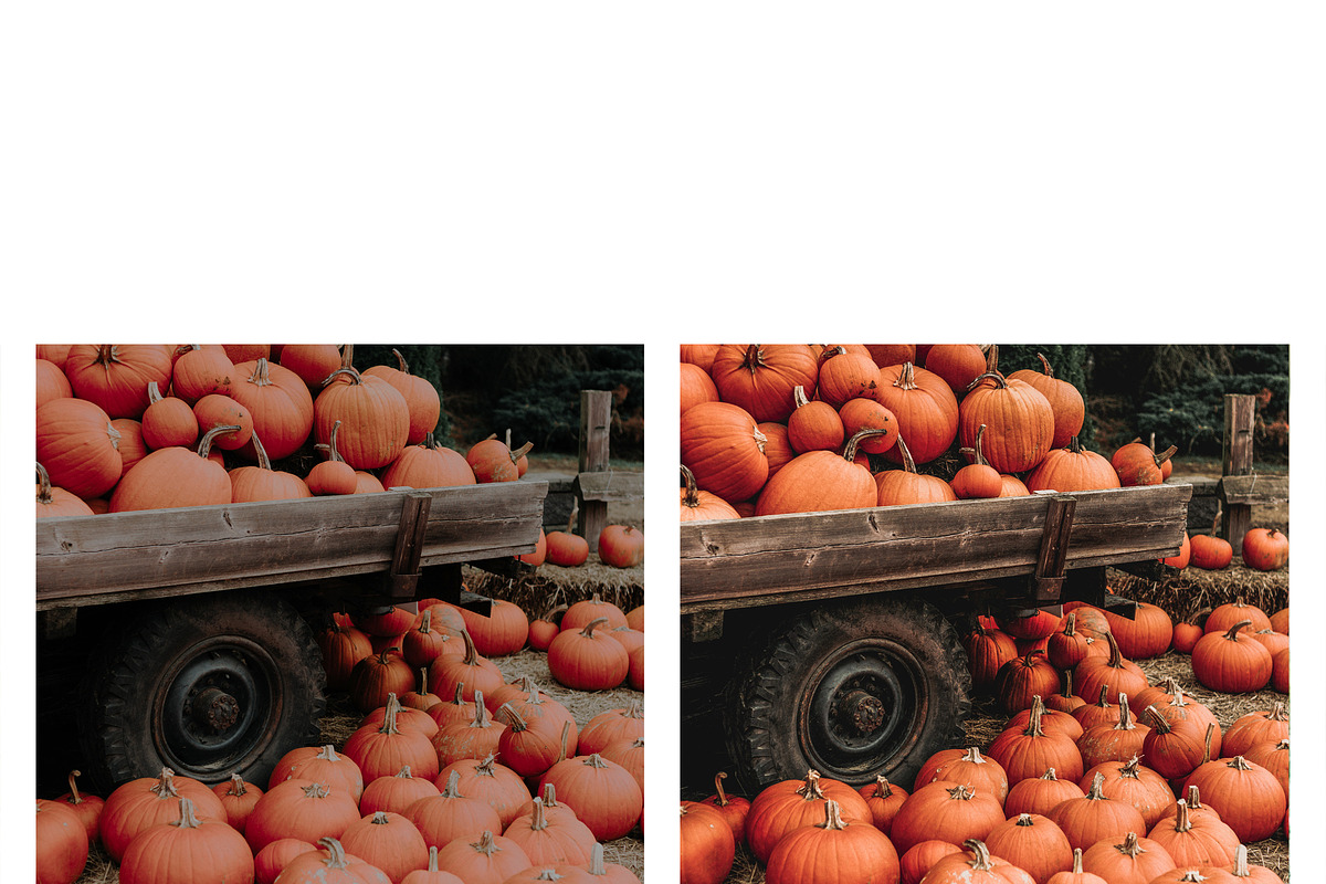10 Hello Autumn Lightroom Presets, a Preset Add-On by MockTurtleStudio (Photo 5 of 9)