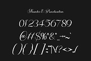 Classical Script Retro Font, a Script Font by Muntab_Art (Thumbnail 10 of 10)