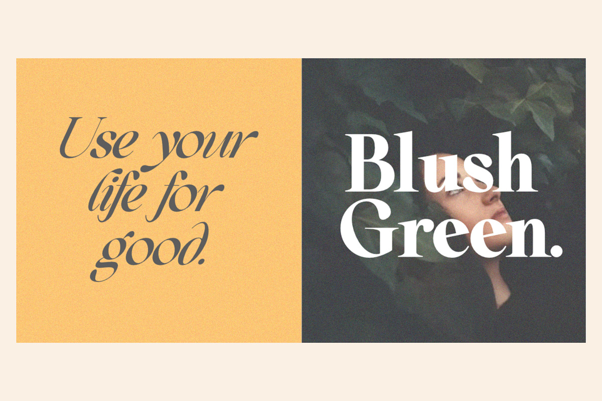 Beautiful Comethrue Family 54 Fonts, a Serif Font by Sealoung (Photo 10 of 18)