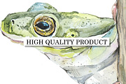 Watercolor Forest Sketches, an Object Graphic by Budogoshch (Thumbnail 4 of 5)