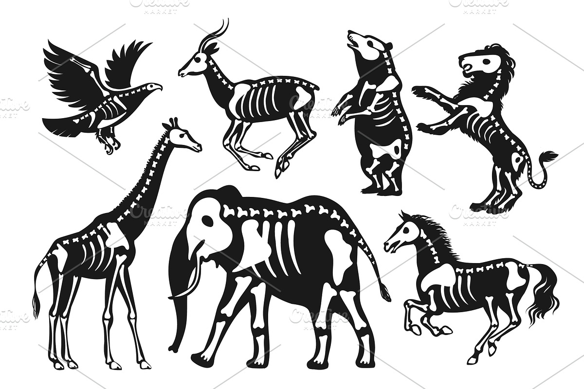 Animals with skeletons silhouettes, an Animal Illustration by YummyBuum