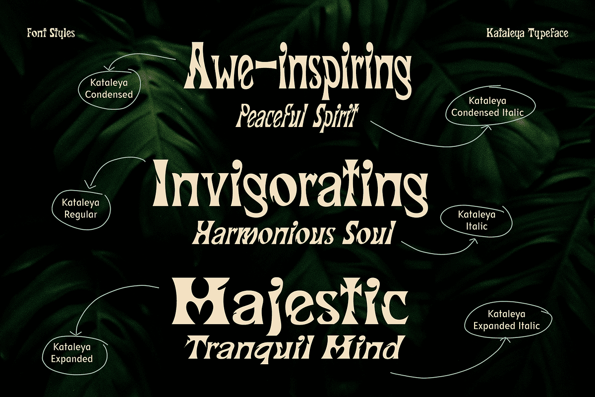 CF Kataleya - Art Nouveau Display, a Sans Serif Font by Indotype Foundry (Photo 4 of 10)