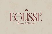 Cogofonte - Modern Geometric Serif, a Serif Font by Qweera Studio (Thumbnail 4 of 12)
