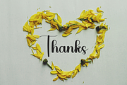 Catton Candy, a Handwritten Font by FreshTypeINK (Thumbnail 6 of 8)