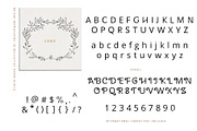 Studio Baked Font Collection, a Script Font by Creativeqube Design (Thumbnail 23 of 23)