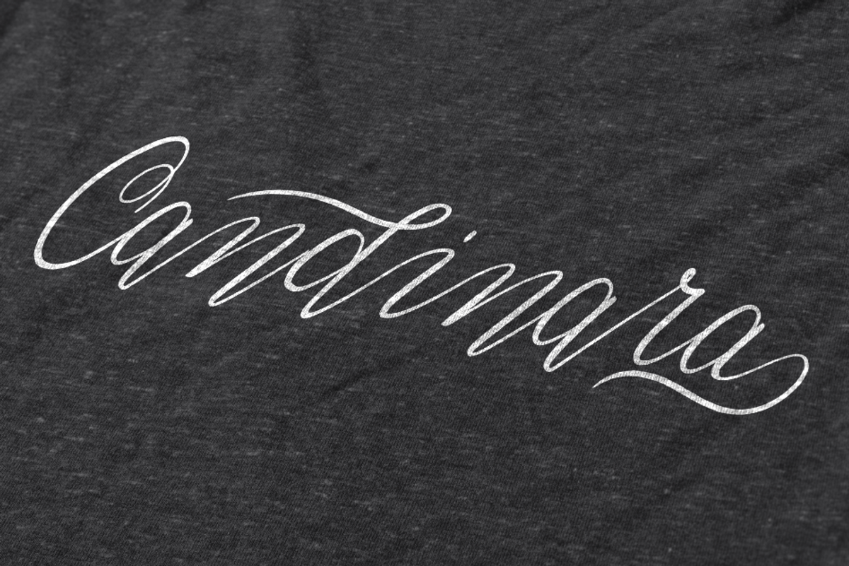 Candinara - Elegant Calligraphy, a Script Font by Ginart (Photo 8 of 11)