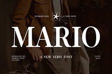 Mario Elegant Serif Font Typeface