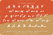 Vintage Style - Bold Script Font, a Script Font by StringLabs (Thumbnail 13 of 15)