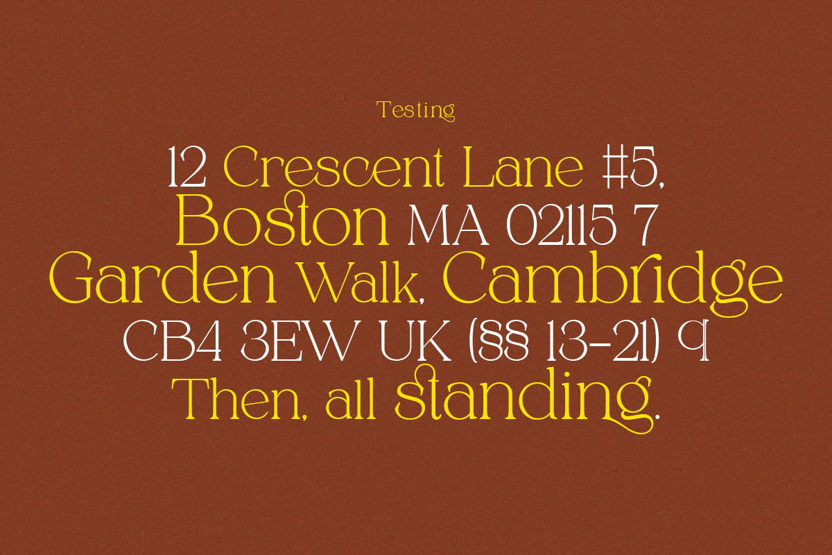 Alpinecia, a Serif Font by Pista Mova (Photo 8 of 19)