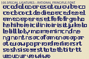 Rational Principle Font, a Sans Serif Font by 177Studio (Thumbnail 8 of 8)