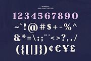 Rost Bird - Bold Swashes Retro Serif, a Serif Font by Typia Nesia (Thumbnail 3 of 15)