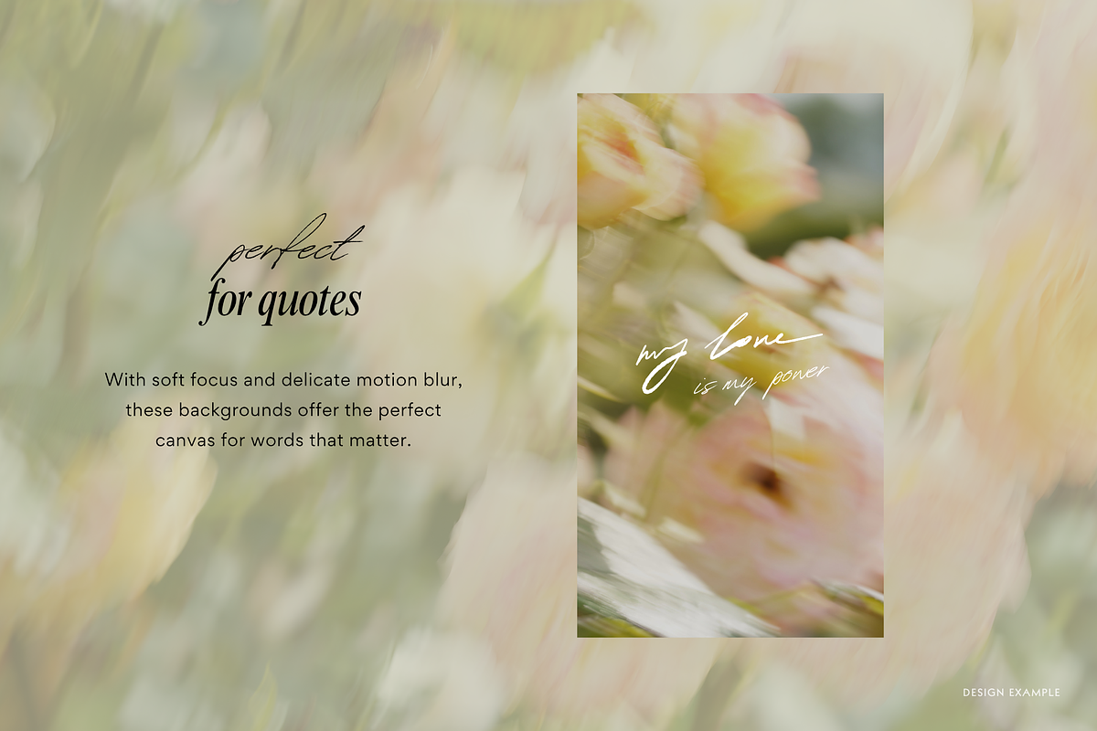 Delicate Blurry Floral Backgrounds, a Background Graphic by eclosque (Photo 11 of 31)