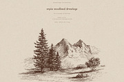 Sepia Woodland Drawings, an Animal Illustration by PeDe Designs (Thumbnail 3 of 15)