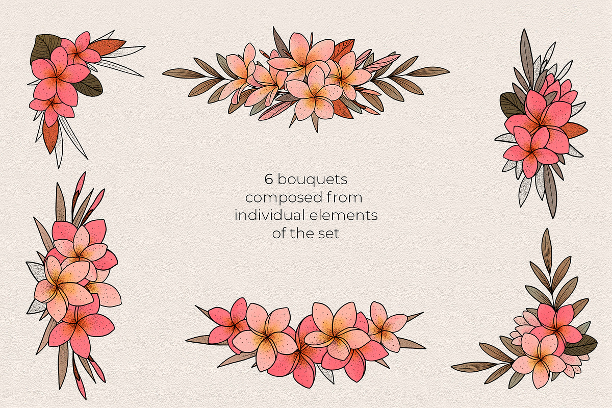 Illustration set Plumeria, an Illustration by Maria Summer (Photo 8 of 13)