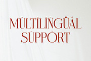 Modasite Modern Serif Font, a Serif Font by Letterena Studios (Thumbnail 11 of 14)