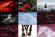 130 Editorial Horse Stock Photos, an Animal Photo by Incomelion (Thumbnail 17 of 20)