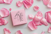 Flourish Letters svg, Alphabet 020, a Graphic by Drawberx (Thumbnail 6 of 7)