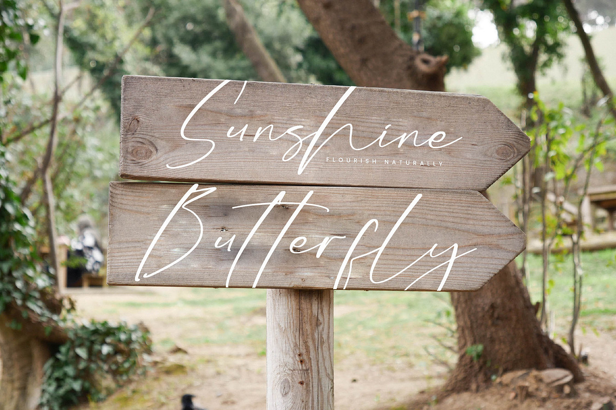 Bluebell Twilight, a Script Font by Integritype Studio (Photo 8 of 15)
