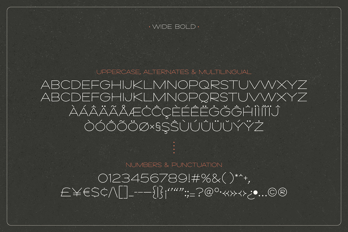 Outer Limits - Skinny Display Font, a Font by Idle Letters (Photo 14 of 16)