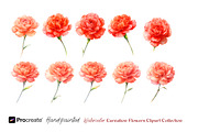 Watercolor Carnation Flowers Clipart, an Object Graphic by crafty (Thumbnail 7 of 7)