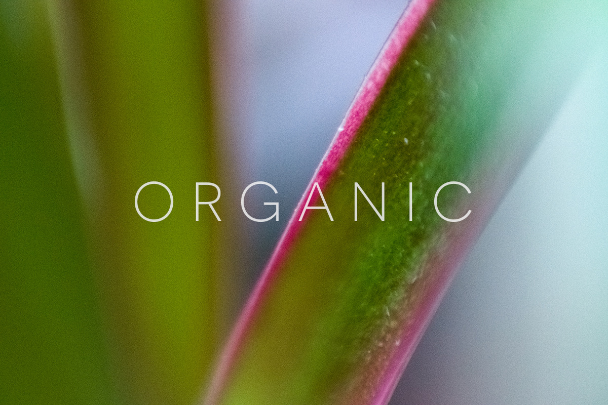 Organic | 20 Botanical Photos, a Nature Photo by Melanie Helena (Photo 5 of 20)