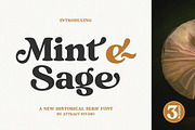 Mint And Sage, a Serif Font by Attract Studio (Thumbnail 1 of 21)